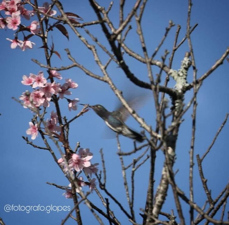 fotografo gabriel fotografo 3 768x756
