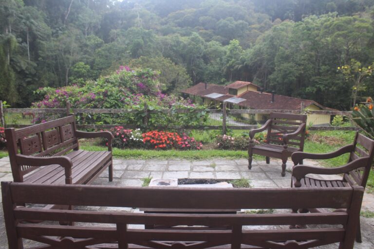 1410b87c 8f11 4a86 90b2 35d3768707ba 768x512