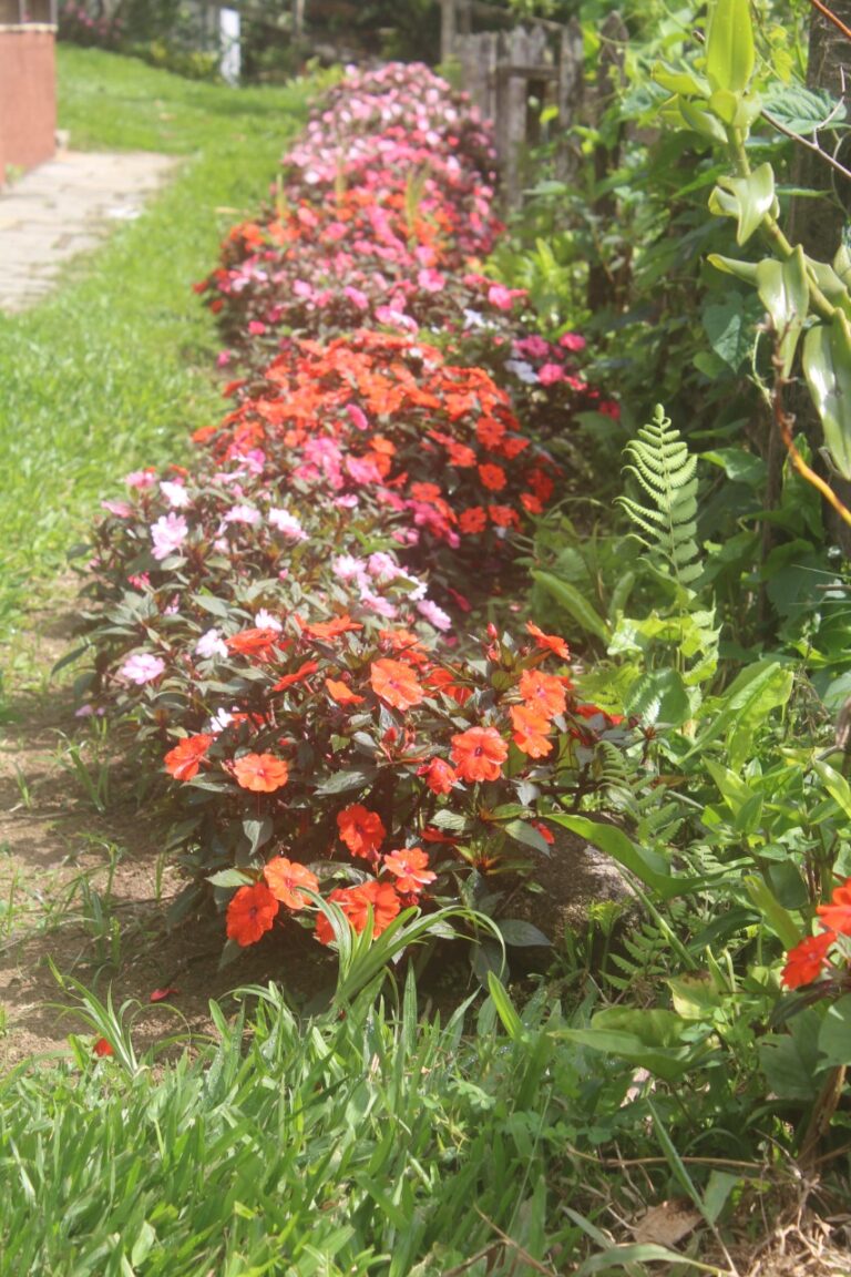 19f3963d 73d4 4330 8d41 1a16c964eca0 768x1152