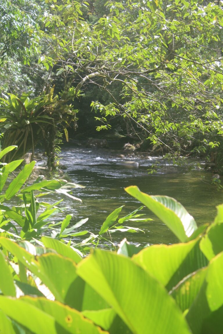 1fbc2945 8bbd 48d7 a5e2 1203630c0734 768x1152