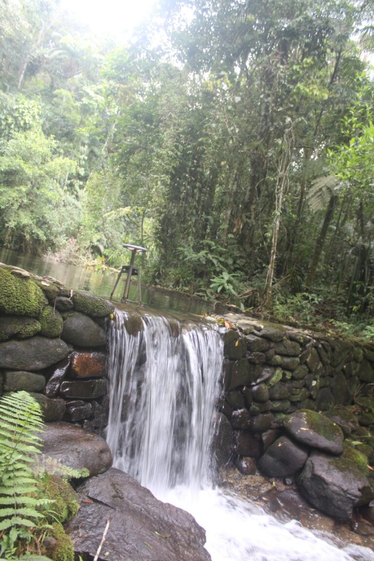 88392dc2 c165 4dfb b31f 6c09a1766f48 768x1152