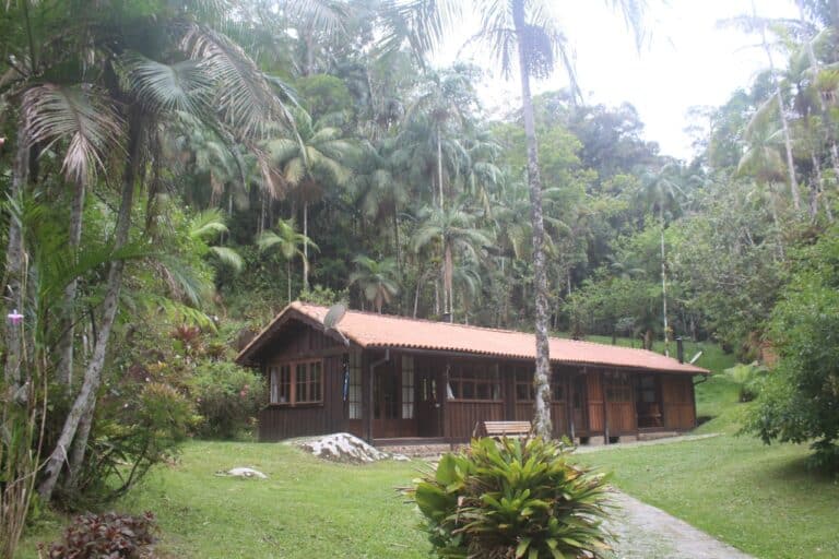 967f3101 a5aa 4697 be5c 91bc22b9d16a 768x512