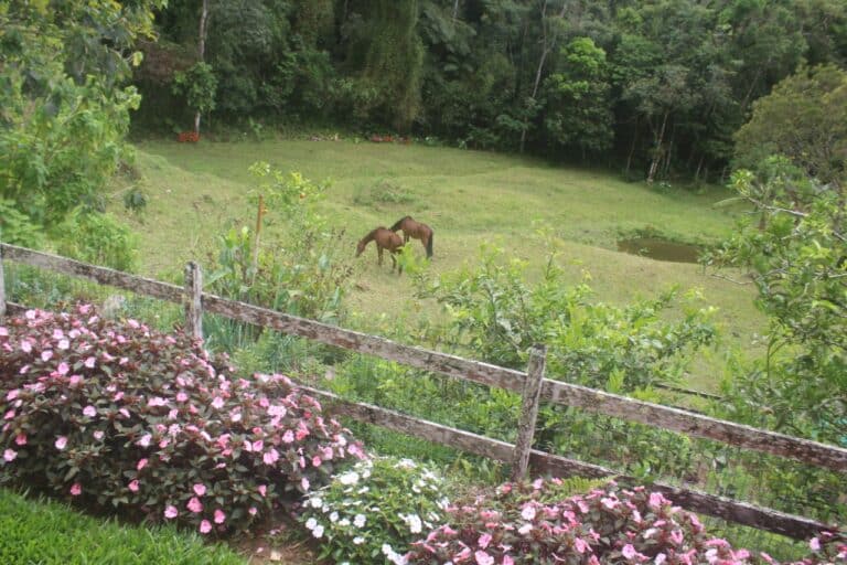 b3792110 6526 4aab a7b4 296771358950 768x512