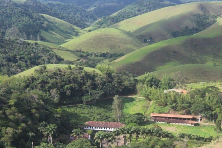 1 whatsapp image 2022 12 05 at 10 44 59 768x512