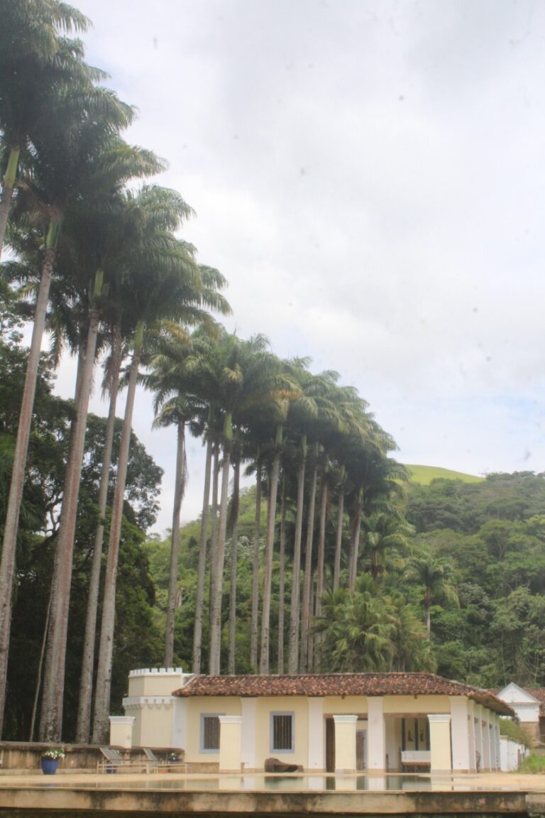 2 whatsapp image 2022 12 05 at 10 44 59 2 768x1152