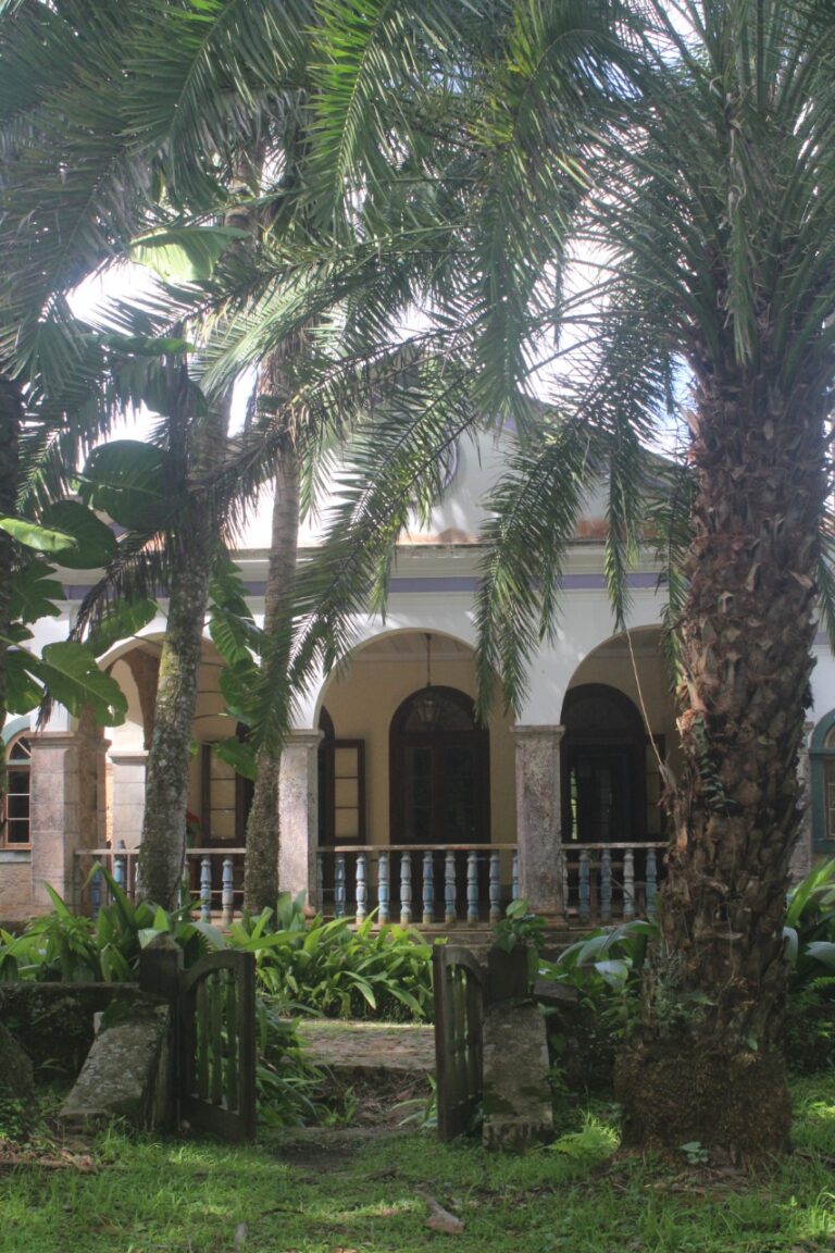 3 whatsapp image 2022 12 05 at 10 44 59 5 768x1152