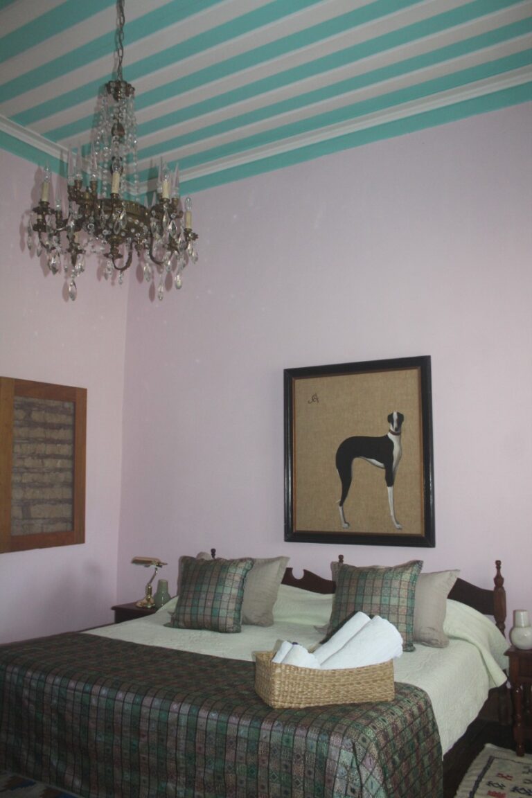 4 1 whatsapp image 2022 12 05 at 10 44 59 3 768x1152