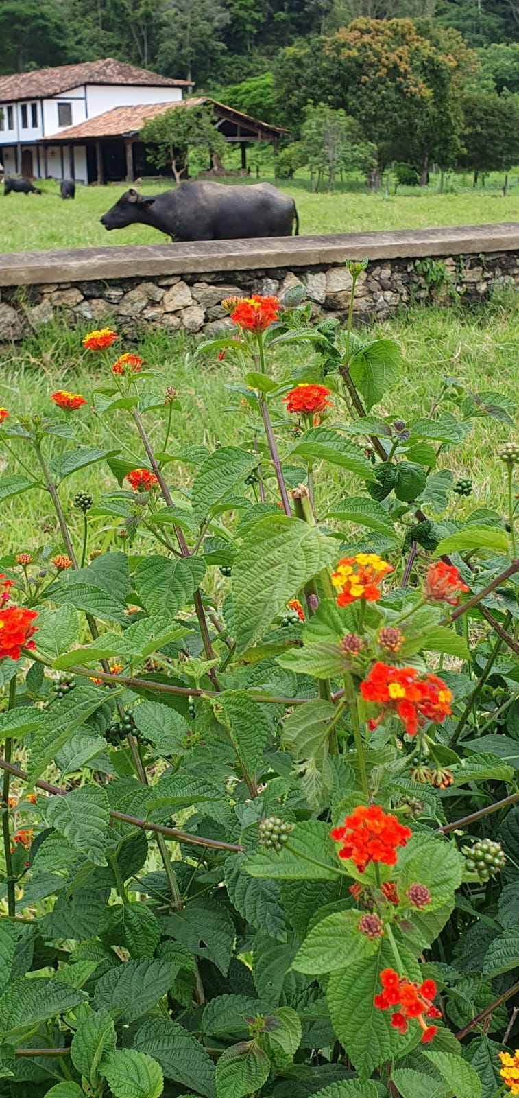 9 whatsapp image 2022 11 26 at 11 06 18