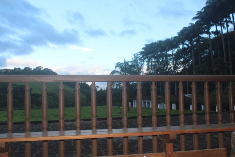 whatsapp image 2022 12 05 at 10 44 59 1 768x512