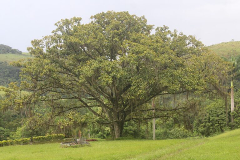 whatsapp image 2023 01 15 at 20 50 38 768x512