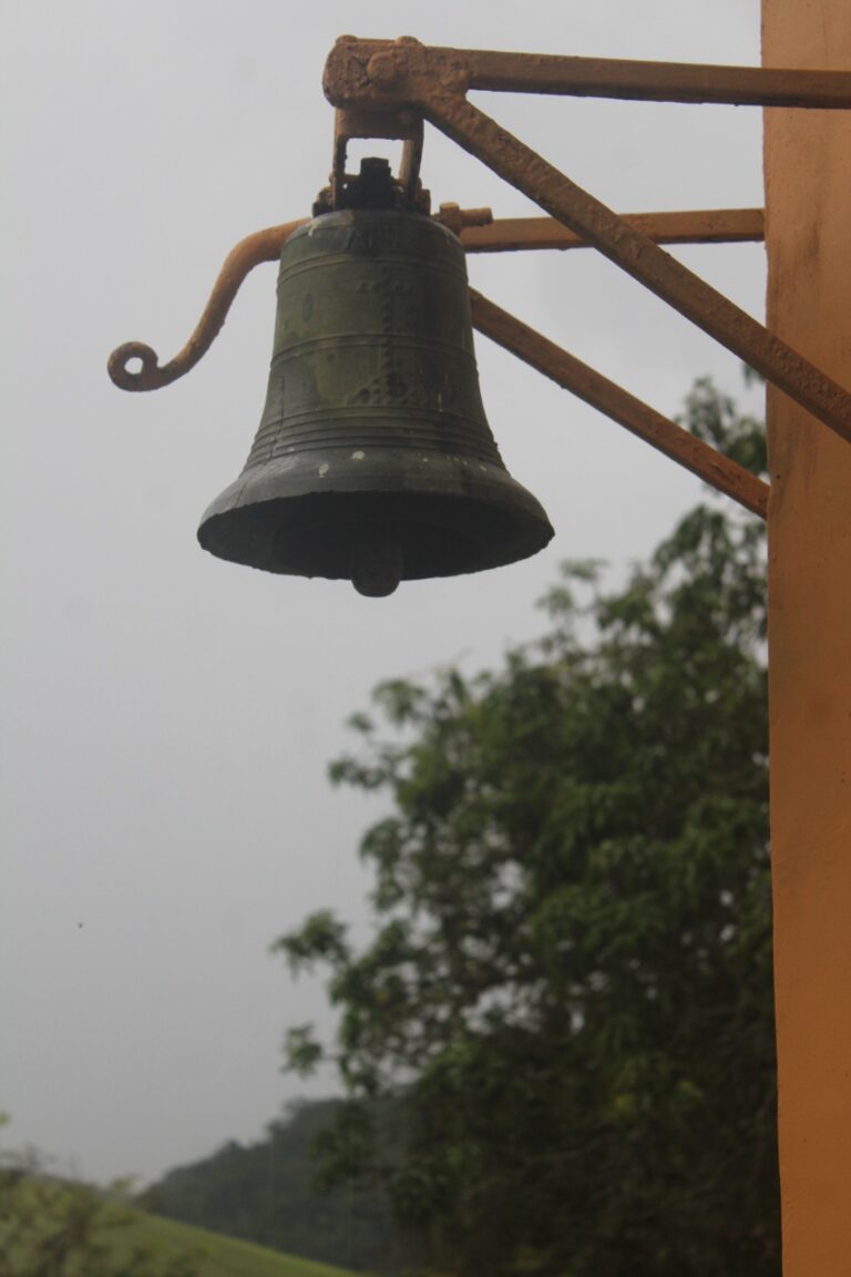 whatsapp image 2023 01 15 at 20 50 53 768x1152