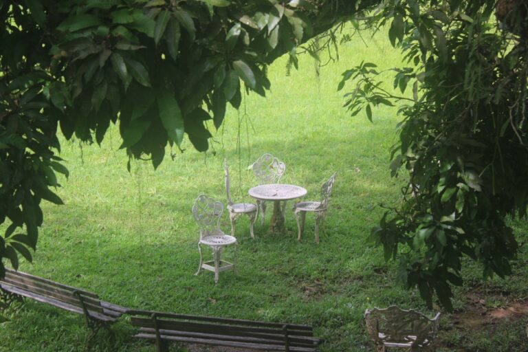 whatsapp image 2023 01 15 at 20 52 30 768x512