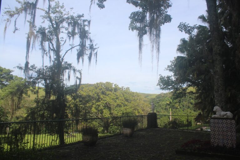 whatsapp image 2023 01 15 at 20 53 22 768x512