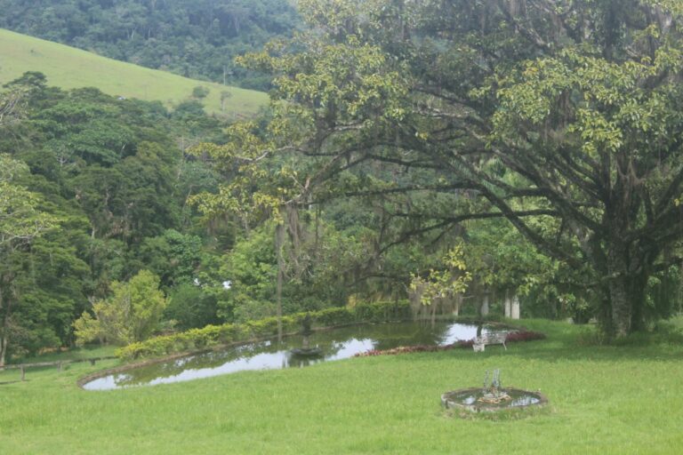 whatsapp image 2023 01 15 at 20 56 23 768x512