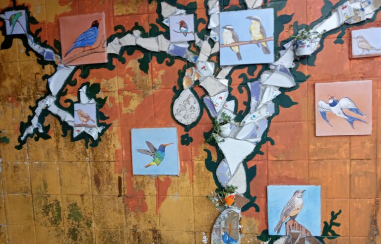 cocco 2 de 3 768x492