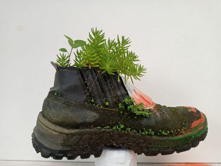 cocco 3 de 3 768x576