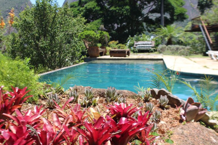 whatsapp image 2026 01 12 at 07 23 12 768x512