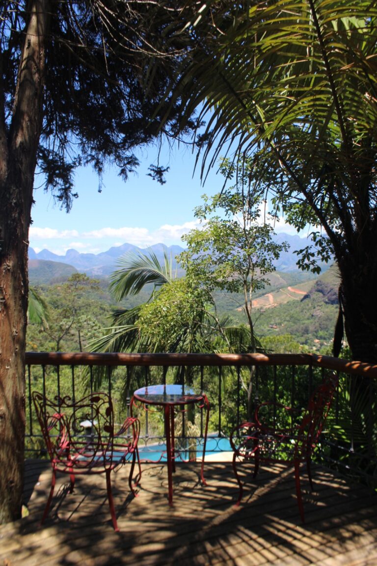 whatsapp image 2026 01 12 at 07 23 42 768x1153