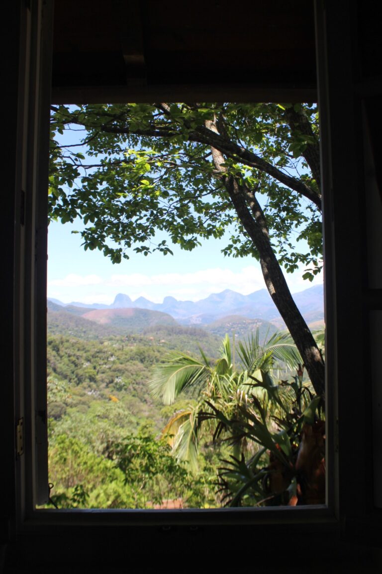 whatsapp image 2026 01 12 at 07 25 01 768x1153